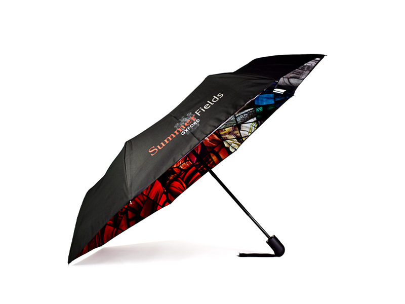 Transparent Dome Umbrella